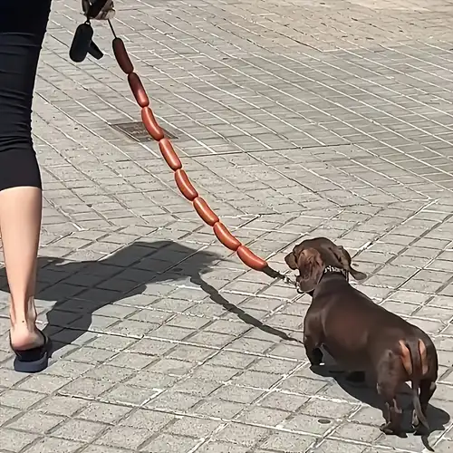 Dog Leashes