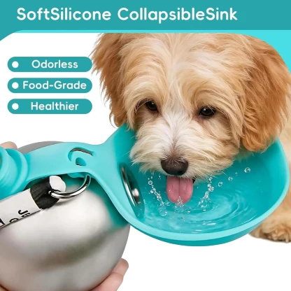 Portable Water